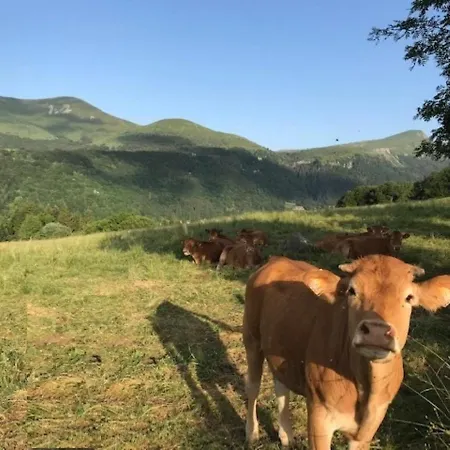 T2 Avec Balcon Expose Ouest, Parking Prive, Au Mont-dore, Proche Centre Et Thermes - Fr-1-608-190 *