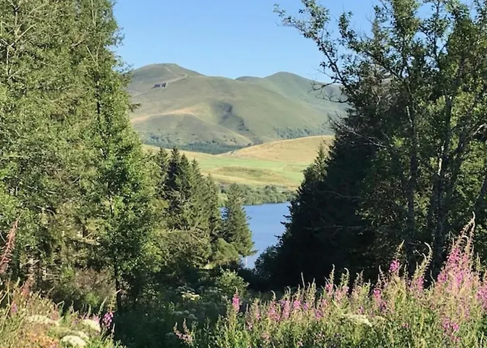 T2 Avec Balcon Expose Ouest, Parking Prive, Au Mont-dore, Proche Centre Et Thermes - Fr-1-608-190 Le Mont-Dore