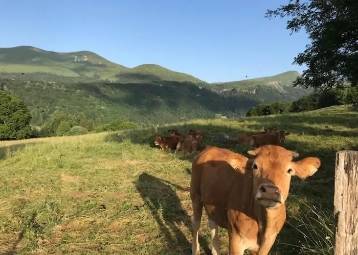 T2 Avec Balcon Expose Ouest, Parking Prive, Au Mont-dore, Proche Centre Et Thermes - Fr-1-608-190 *